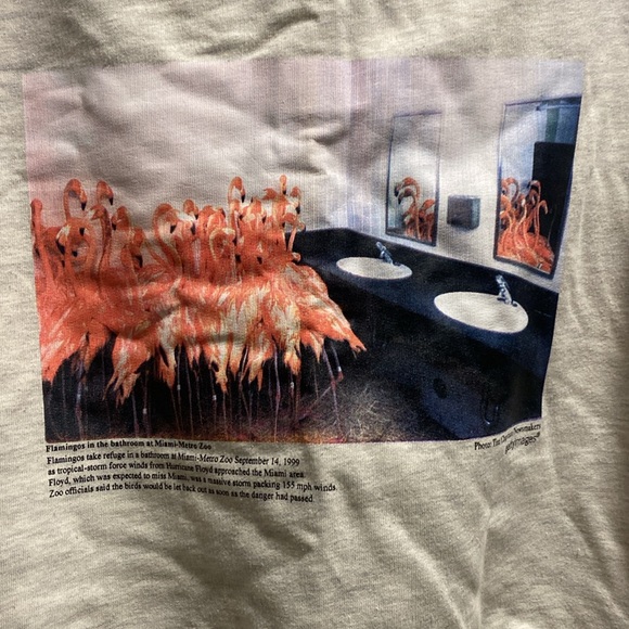 Weekday Sweatshirt - Picture 2 of 2